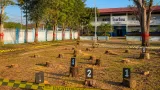 คณะกรรมการสถานศึกษา กมลาไสยส่งสำนวนให้ ผอ.สพม.กาฬสินธุ์ ตร.พบต้นไม้ถูกตัด 32 ต้น
