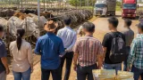 ผลักดันโคเนื้อศรีสะเกษสู่ตลาดพรีเมียม เปิดทางส่งออกเวียดนาม–จีน เพิ่มมูลค่าให้เกษตรกร