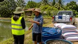 ราชบุรีเร่งแก้วิกฤตราคาปลาดุก โยงตลาด-รวมกลุ่มแปลงใหญ่หนุนอำนาจต่อรอง