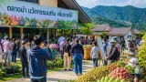 ตลาดเกษตรเชียงรายผนึกท่องเที่ยวสร้างรายได้ชุมชนตามนโยบาย “ตลาดนำ นวัตกรรมเสริม”