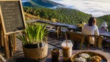 อดีตผู้สื่อข่าวคืนถิ่น เปิด 'ดูเลซีวิว คาเฟ่' บนยอดเขาสิเกา ฟื้นพันธุ์พร้าวโบราณและชวนสโลว์ไลฟ์