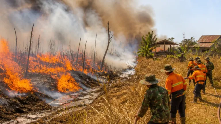 ไฟไหม้ป่าพรุข้ามจังหวัด ลุกลามเข้าสู่ชะอวด นครศรีธรรมราช เสียหายเกือบ 800 ไร่