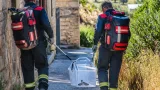 Antakya'da yerleşimlere giren yılanlar itfaiye tarafından yakalanıp doğaya bırakıldı