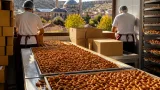 Avanos Belediyesi Halk Ekmek Fırını'nda Mevlid Kandili için binlerce kandil simidi hazırlanıyor