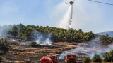Bilecik'te anız yangını: Elektrik tellerine çarpan kuş yangının nedeni olarak belirlendi