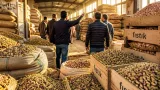 Birecik’te fıstık depoları dolu; esnaf alıcı bulamıyor