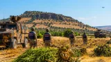 Diyarbakır'da Lice ve Kulp'ta 217 bin 608 kök kenevir ve skunk imha edildi