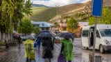 Güroymak'ta göçer çadırlarında kaçak avlanan keklikler bulunup doğaya bırakıldı