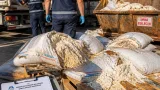 Mersin Tarsus'ta 30 ton bozuk un imha edildi; ürünlerin piyasa değeri 3 milyon TL
