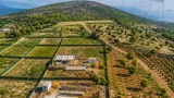Milas'ta 'yanan ormanlar villa yapıldı' iddiası: DMM resmî kaydı paylaştı