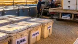İpsala'da üretilen 2,3 milyon yavru sazan bölge göllerine bırakıldı