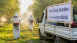 Salihli zeytin üreticilerine üç günlük 'zeytin sineği' ilaçlama çağrısı