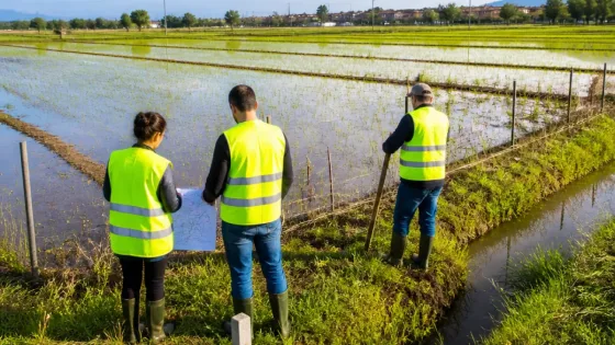 Erbaa’da çeltik sahalarında kapsamlı denetim: 3039 sayılı Kanun uygulaması yerinde izlendi