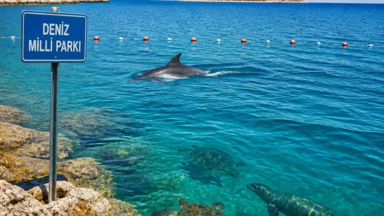 Kaş açıkları Fethiye-Kaş Deniz Milli Parkı ile koruma kapsamına alındı