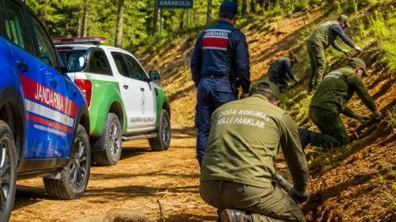 Tunceli'de koruma altındaki dağ sarımsağını izinsiz toplayan üç kişiye 2.1 milyon TL ceza
