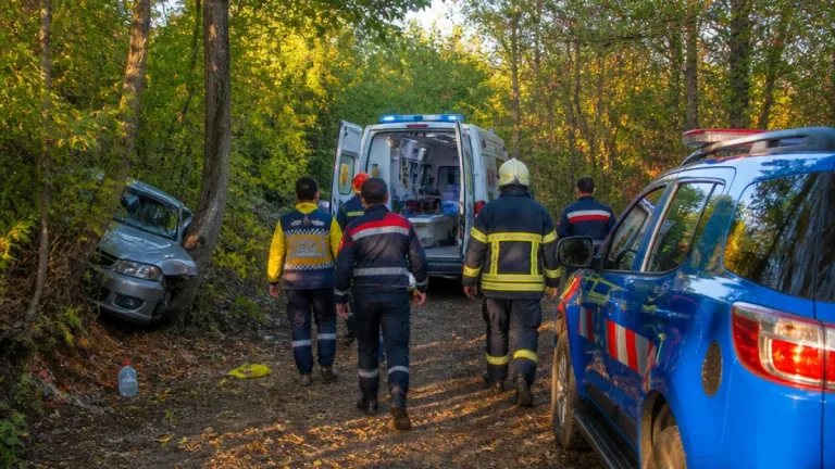Bartın'da Büyükkızılkum'da otomobil ormana girip ağaca çarptı: 3 kişi yaralandı