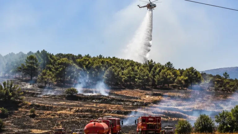 Bilecik'te anız yangını: Elektrik tellerine çarpan kuş yangının nedeni olarak belirlendi