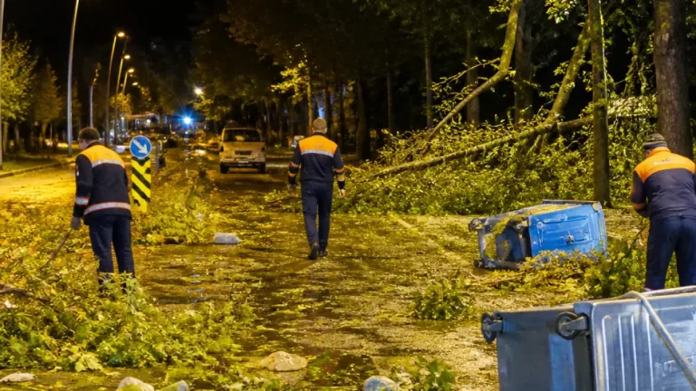 Elazığ'da gündüz bunaltan sıcaklıktan gece güçlü rüzgara geçiş yaşandı