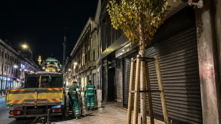 Fatih'te gece kesilen ıhlamurun yerine manolya dikildi