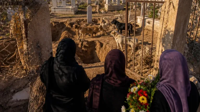 Harran’da Hayati Harrani Mezarlığı’nda başıboş köpek tahribatı iddiası