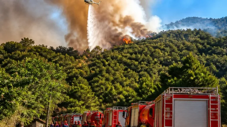 Milas’ta Çamköy–Karacahisar Arası Yangın: Ormanlık Alana Sıçradı, Ekipler Seferber