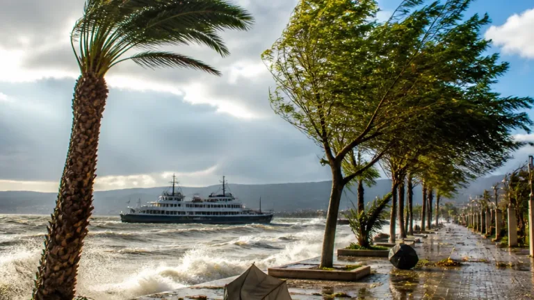 Yalova için fırtına uyarısı: 13 Ağustos’ta rüzgar saatte 50-80 km ile esecek