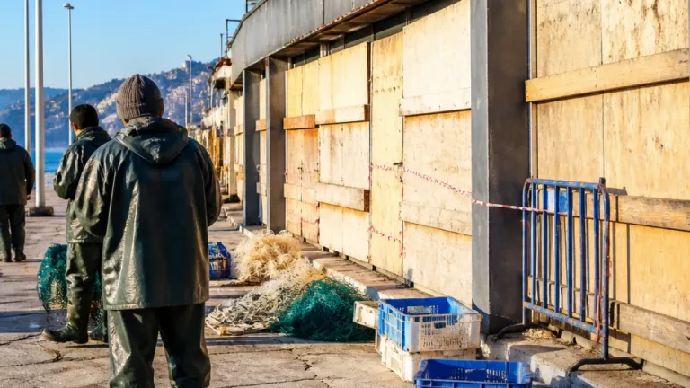 Zonguldak merkezde balıkçı esnafı: Bir buçuk yıllık yetki belirsizliği ekmeğimizi kesti
