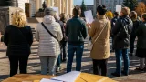 Громадські організації Кропивницького вимагають обговорити звільнення директорки Музею мистецтв