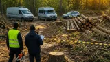 На Кіровоградщині судитимуть чоловіка за незаконну порубку 39 дерев із збитками понад 815 тис. грн
