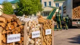 На Кіровоградщині зріс попит на дрова: що і за якою ціною можна придбати цього сезону