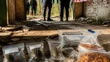 На Рівненщині затримали мешканця Клесова з корпусами гранат, бурштином та психотропами
