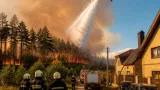 Поблизу Богданів на Київщині триває ліквідація масштабної лісової пожежі: задіяна авіація