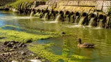 У Калуші виявили дев’ять незаконних врізок і перевищення амонію в Млинівці