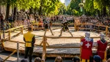 У Житомирі відновили лицарські турніри: на Новому Бульварі пройшов «Сталевий Бер»