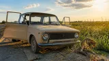 В Ізмаїлі суд визнав винним чоловіка, який збив собаку й побив його руків’ям від молотка