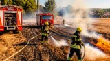 Вінниця: за добу рятувальники ліквідували 11 пожеж, вогонь випалив близько 4 га сухостою