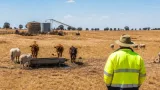 Chichester district farmers face ‘worst yields’ after weeks of heat and near‑no rain