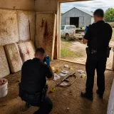 Mexican authorities liberate eight from CJNG clinic; six detained after farm raid
