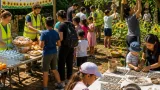 Denbigh summer food and activity scheme serves 500 meals and draws strong community support