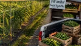 Farms urged to put nature on the balance sheet as asset rather than add-on