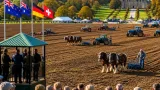 Historic international ploughing contest returns focus to Bangor's Clandeboye Estate