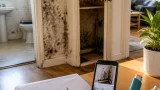 Mold risks in rented homes: Las Vegas tenant’s ordeal offers warning for Mold renters