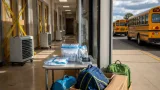 Mold testing forces relocation of 170 pupils at US school — lessons for Mold parents