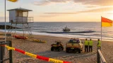 Shark activity may persist off Perth beaches after City Beach whale removal