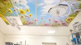 Shrewsbury hospital clinic ceiling transformed with nature mural to ease patients
