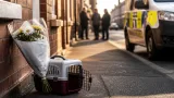 West Belfast pet death highlights trauma of dog attacks in Belfast