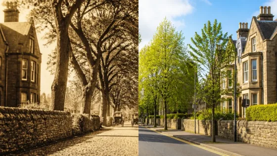 Greenock street’s enduring charm revealed in then-and-now photos of Bedford Street