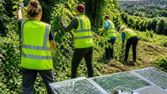 Winchester faces canopy loss and relies on volunteers to tackle invasive species