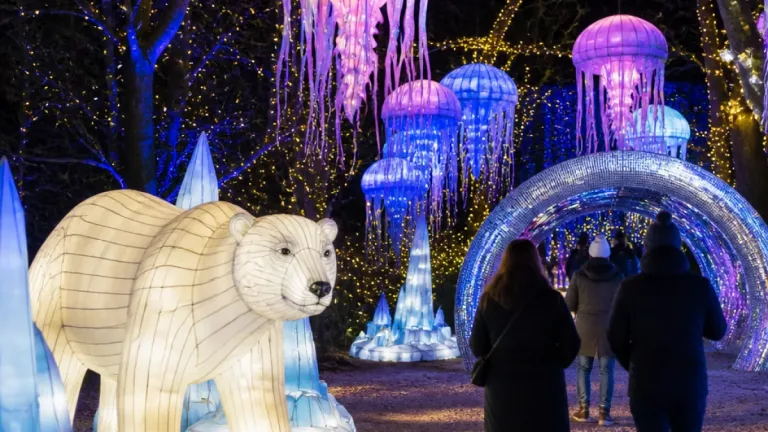 Chester Zoo announces revamped Lanterns & Light trail with adults-only evenings