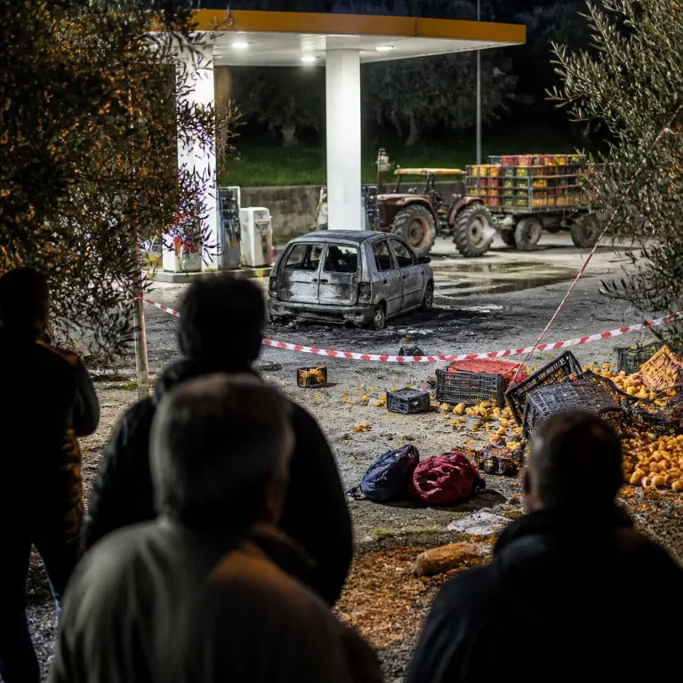 Four migrant farmworkers killed in Calabria highlight entrenched ‘agromafia’ in Italian agriculture
